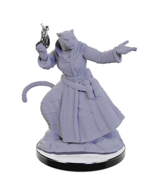 Critical Role Unpainted Miniatures: W05 Lucien Tavelle & Cree Deeproots