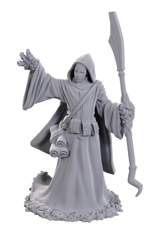 D&D Nolzur's Marvelous Unpainted Miniatures - Star Spawn Larva Mage
