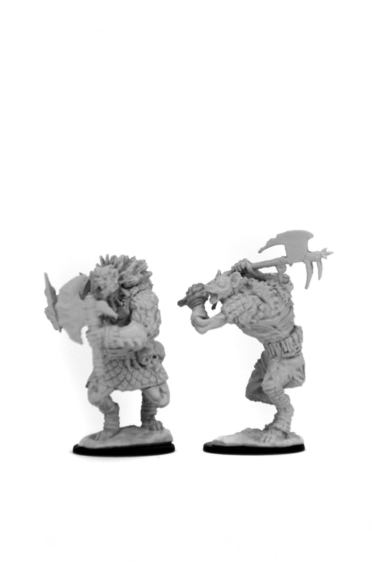 Nolzur's: Gnolls