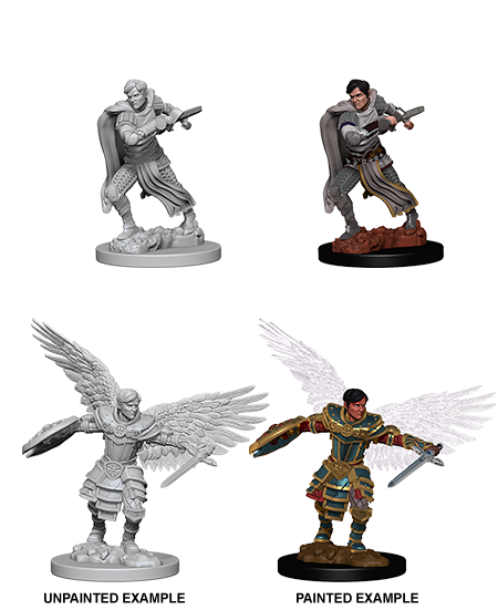 Nolzur's: Male Aasimar Fighter