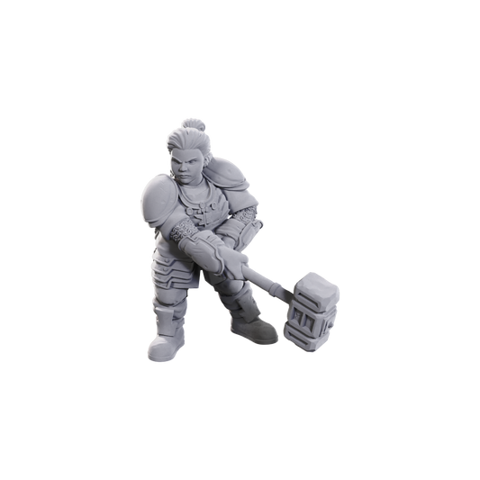 D&D Nolzur's Marvelous Miniatures: Limited Edition 50th Anniversary — Dwarves