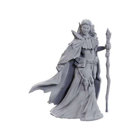 D&D Nolzur's Marvelous Miniatures: Limited Edition 50th Anniversary — Elves