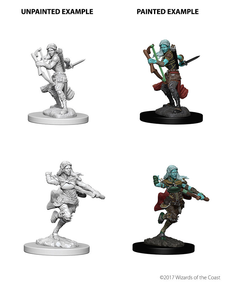 Nolzur's: Air Genasi Female Rogue