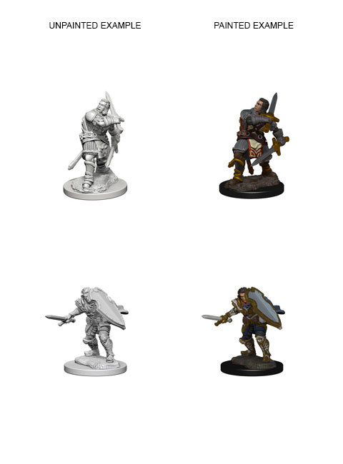 Nolzur's: Human Male Paladin