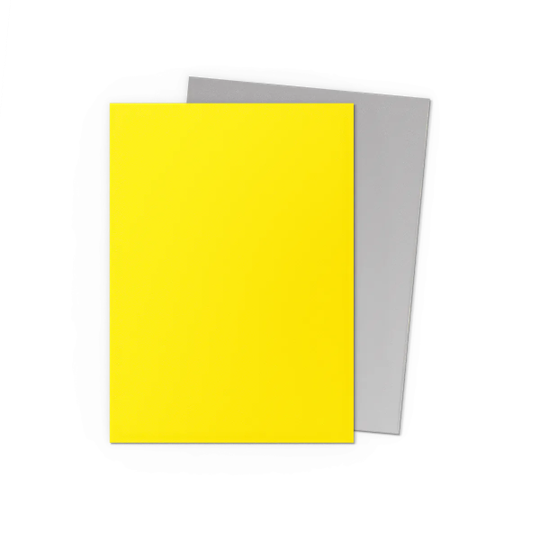 Dragon Shields: Matte Dual - Yellow / Silver (100)
