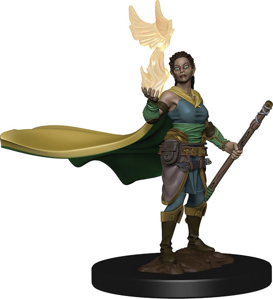 Premium: Elf Female Druid