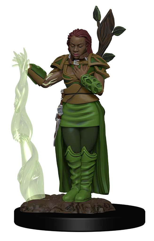 D&D Premium Figure: Human Female Druid