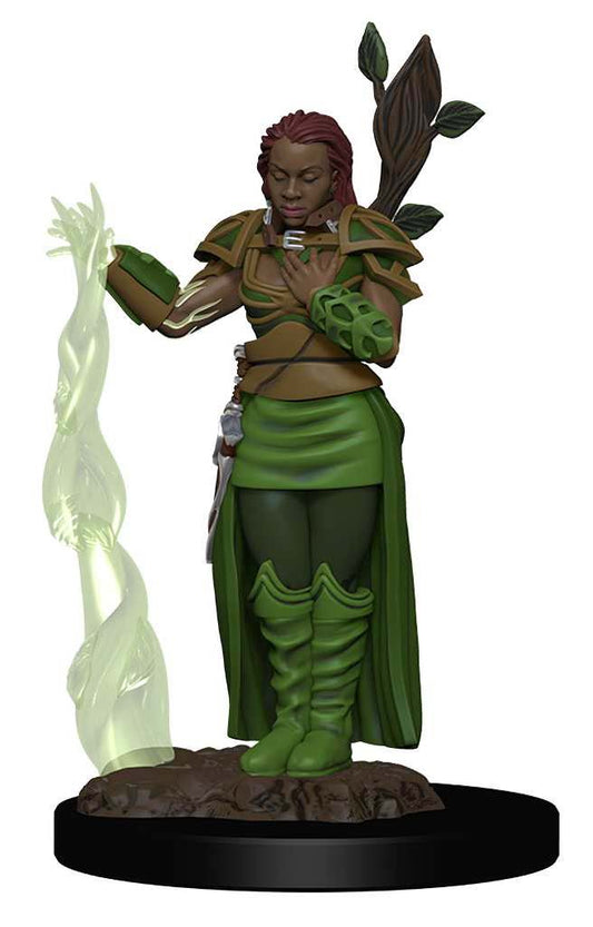 D&D Icons of the Realms Premium Figures: Human Female Druid