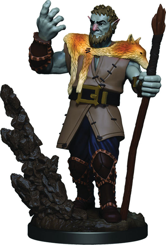 Premium Firbolg Male Druid