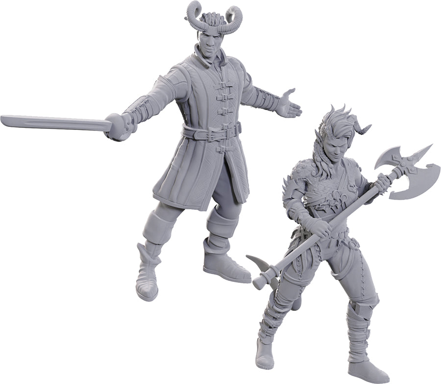 Nolzur's Marvelous Unpainted Miniatures - Special Edition Baldur's Gate 3, Wyll & Karlach