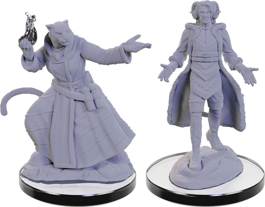 Critical Role Unpainted Miniatures: W05 Lucien Tavelle & Cree Deeproots