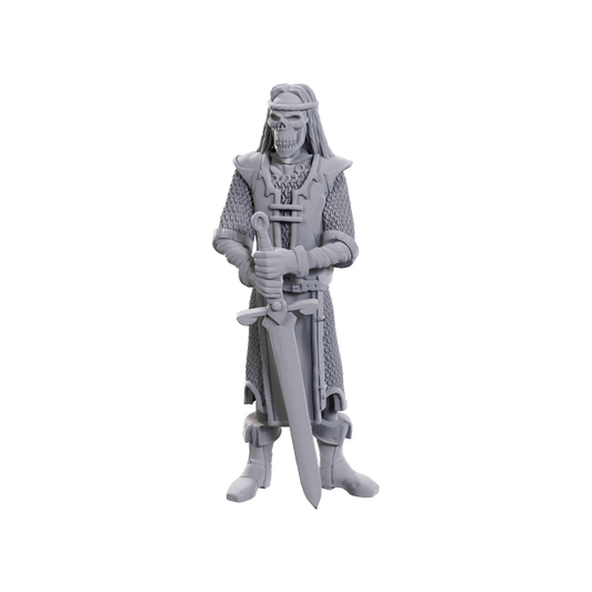 D&D Nolzur's Marvelous Miniatures: Limited Edition 50th Anniversary — Skeleton Knights