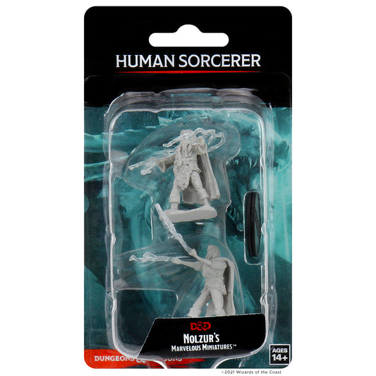 Nolzur's: Human Male Sorcerer