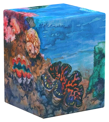 RTE Boulder: 100+ Coral Places - Seablue Hush