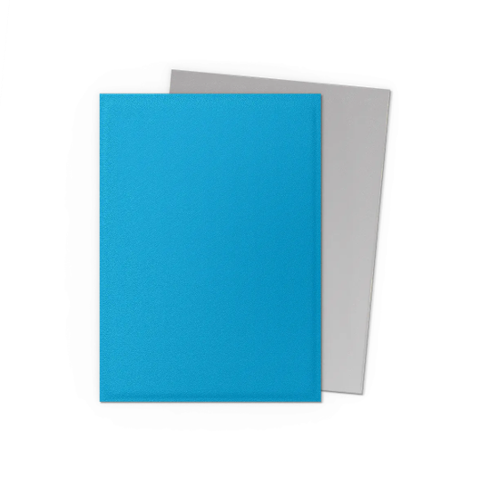 Dragon Shields: Matte Dual - Sky Blue & Silver (100)